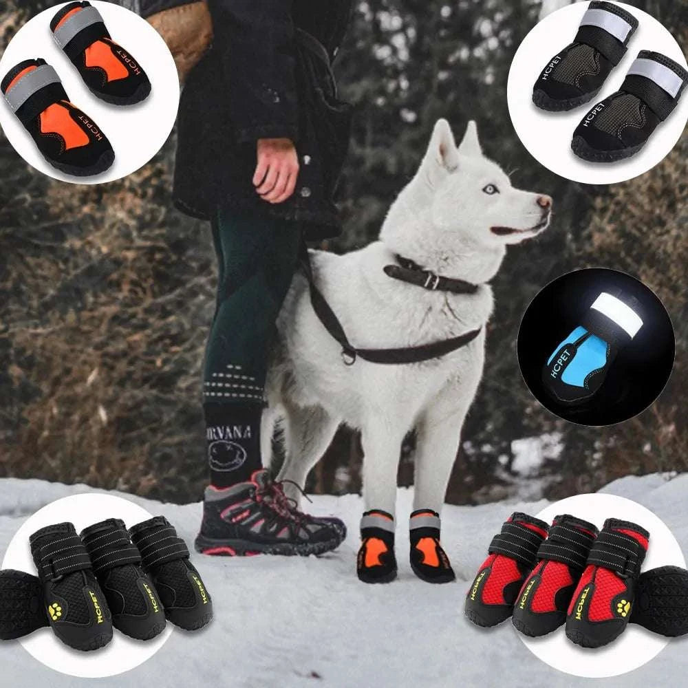 Waterproof reflective dog boots on a white dog in snowy outdoor setting with close-ups of different color options and reflective features