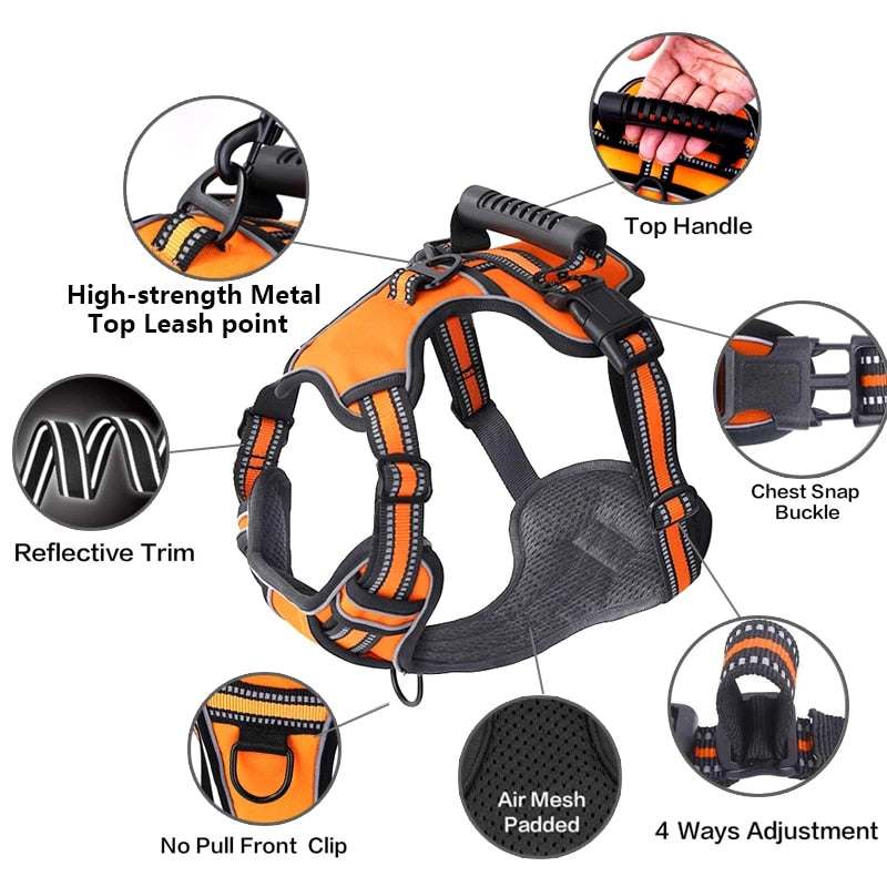 Orange dog harness with retractable leash, reflective trim, padded air mesh, adjustable straps, chest snap buckle, top handle, and no-pull front clip