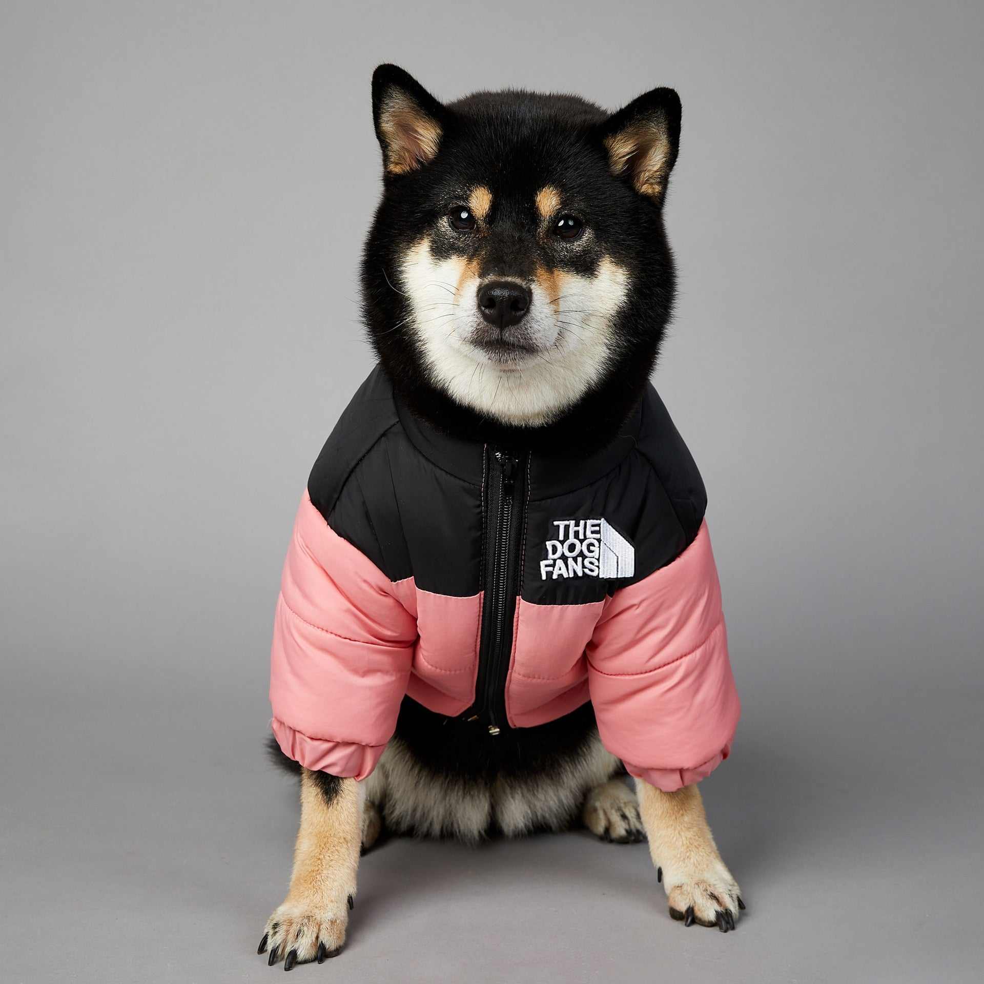 Dog Face Puffer Coat โ Warm Waterproof Winter Jacket for Dogs