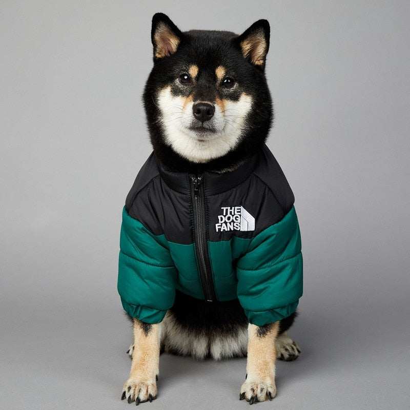 Dog Face Puffer Coat โ Warm Waterproof Winter Jacket for Dogs