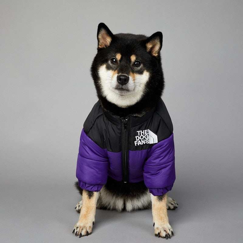 Dog Face Puffer Coat โ Warm Waterproof Winter Jacket for Dogs