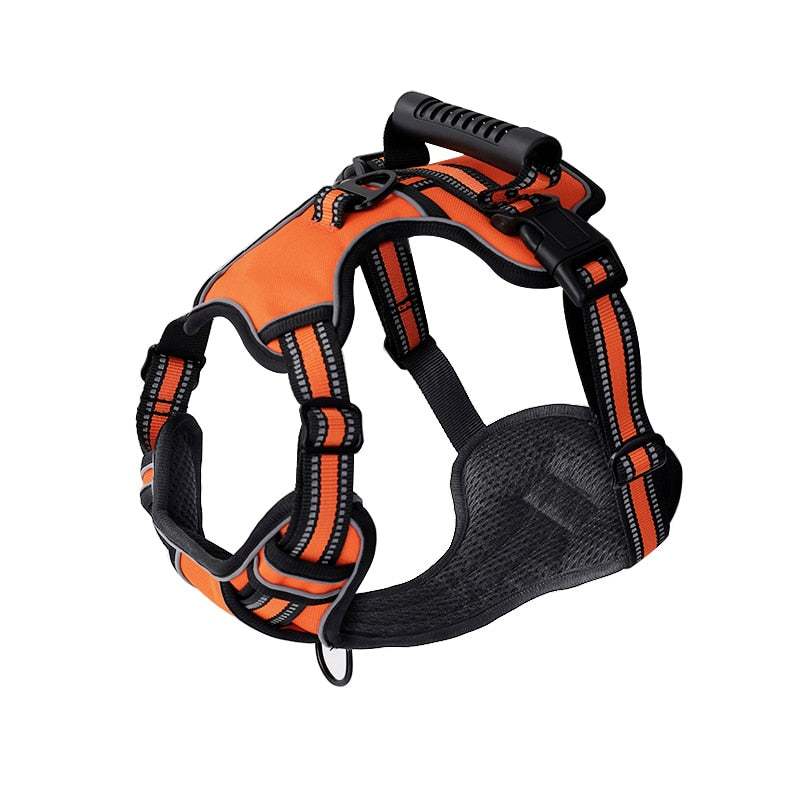 Orange and black adjustable dog harness with padded straps and durable construction for secure and comfortable fit