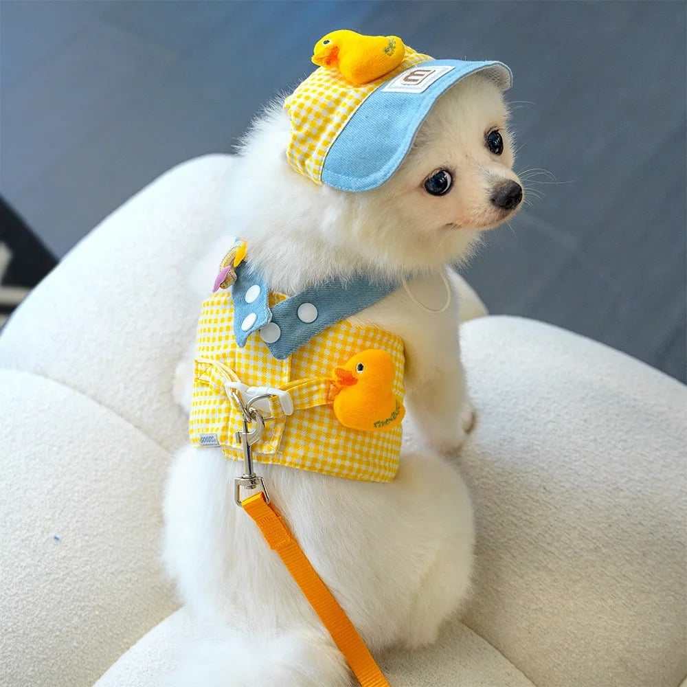 Small white dog wearing cute pet outfit set with yellow gingham harness, matching blue and yellow cap with duck embellishments, and attached orange leash