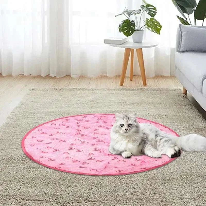 2 in 1 simulated interactive hunting cat toy with grey cat on pink play mat in living room