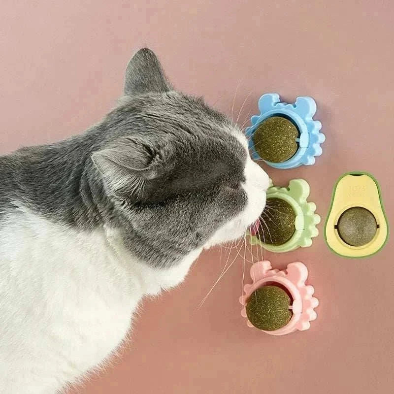 Cat playing with natural catnip rotating interactive cat toy in colorful holders