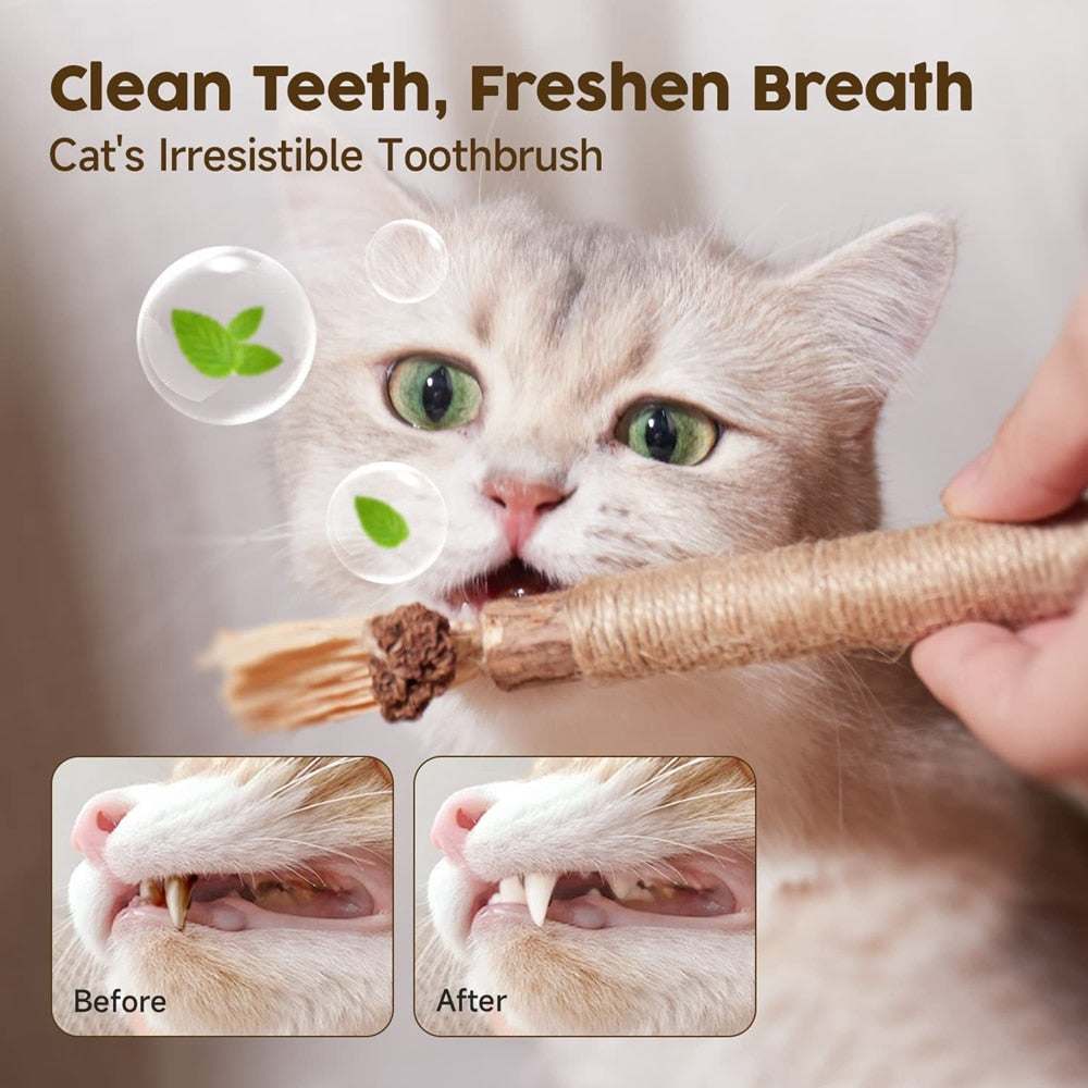 Cat chewing Natural Silvervine Stick toy for dental health and stress relief, 2pcs set