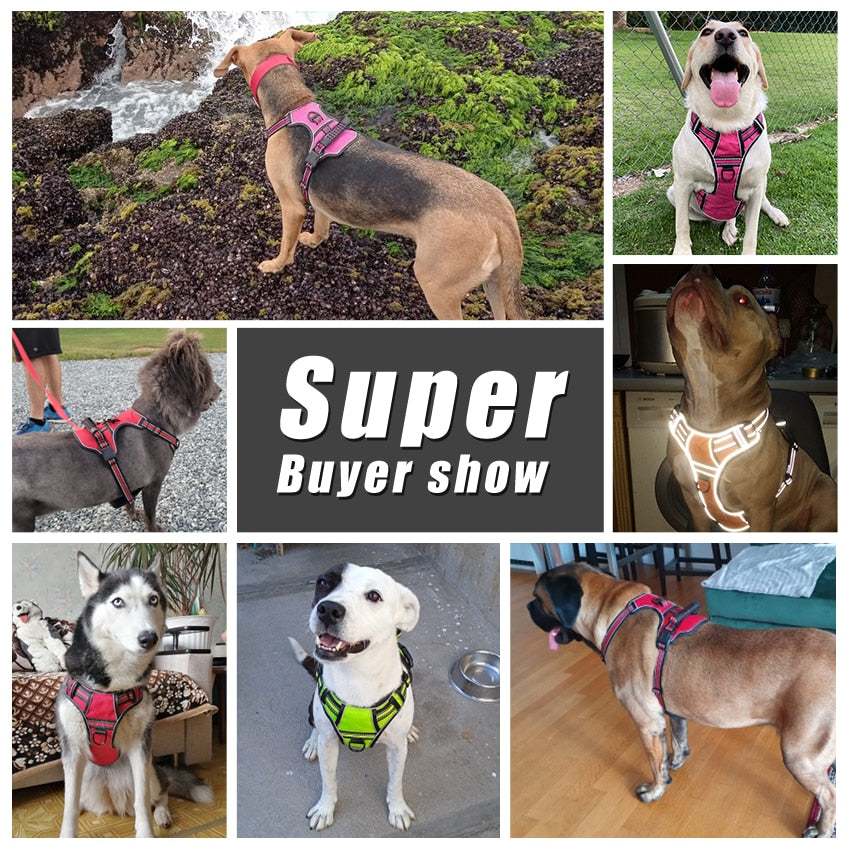 Collage of dogs wearing adjustable nylon dog harnesses with retractable leashes for secure and comfortable walking