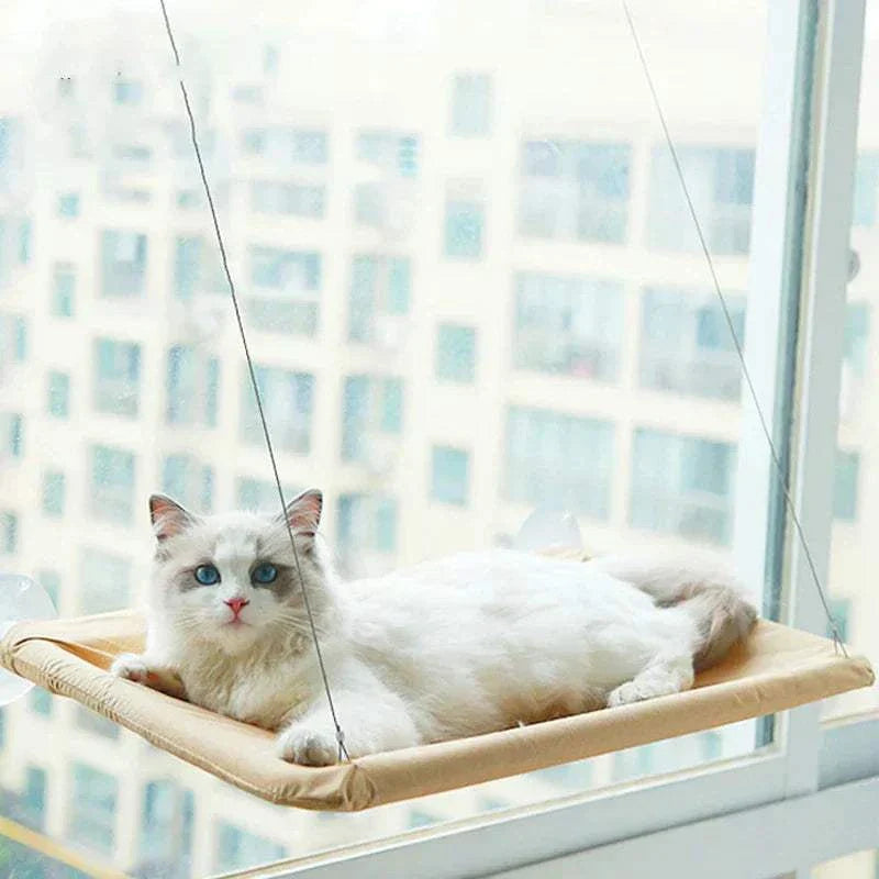 Cat resting comfortably on a window mounted perch hammock enjoying sunlight and view