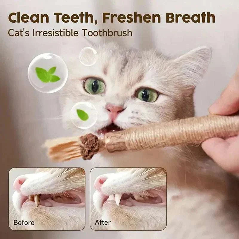 Cat Silvervine Chewing Stick promoting dental health and fresh breath for cats