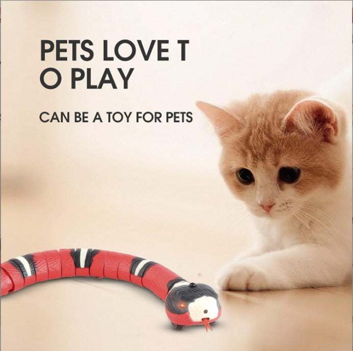 cat playing with USB charging accessory for pet dogs shaped toy
