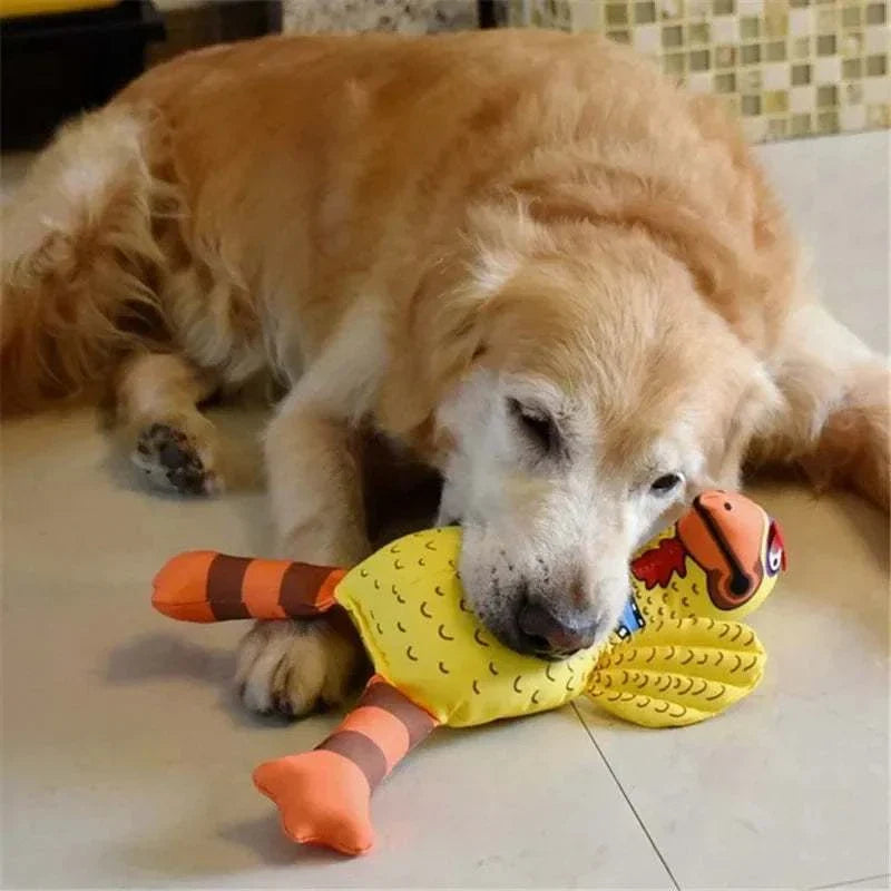 Golden retriever playing with Quack-Quack Duck dog toy with squeaker on floor