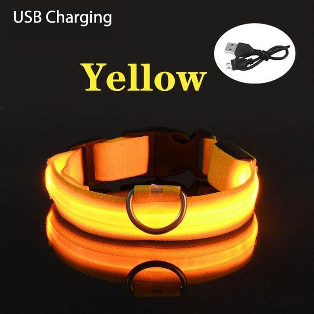 Yellow LED flashing dog collar with USB rechargeable battery and adjustable design for nighttime safety
