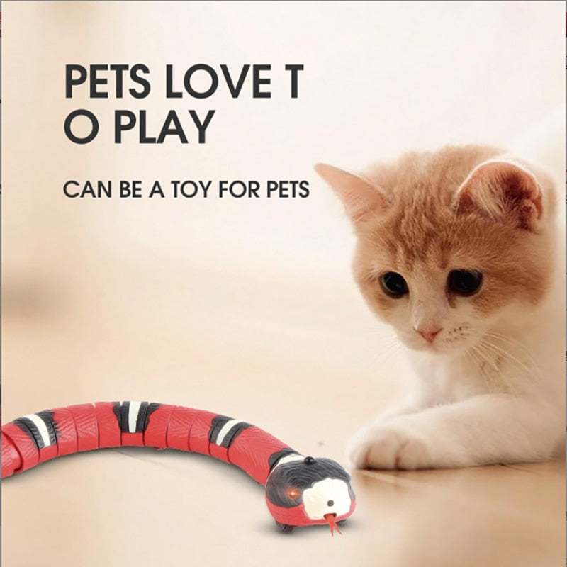 Curious cat watching Smart Sensing Snake interactive rechargeable cat toy on floor