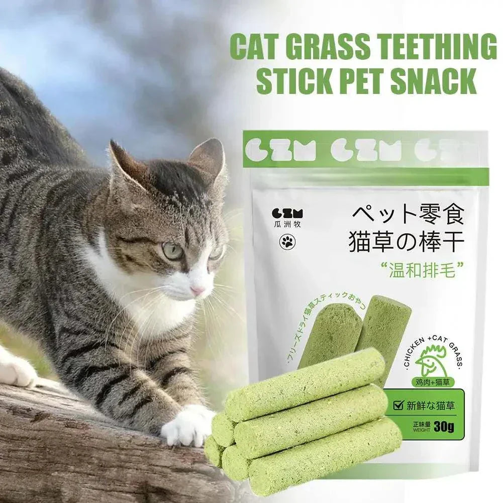 Cat chewing natural green cat grass teething sticks dental chews for cats