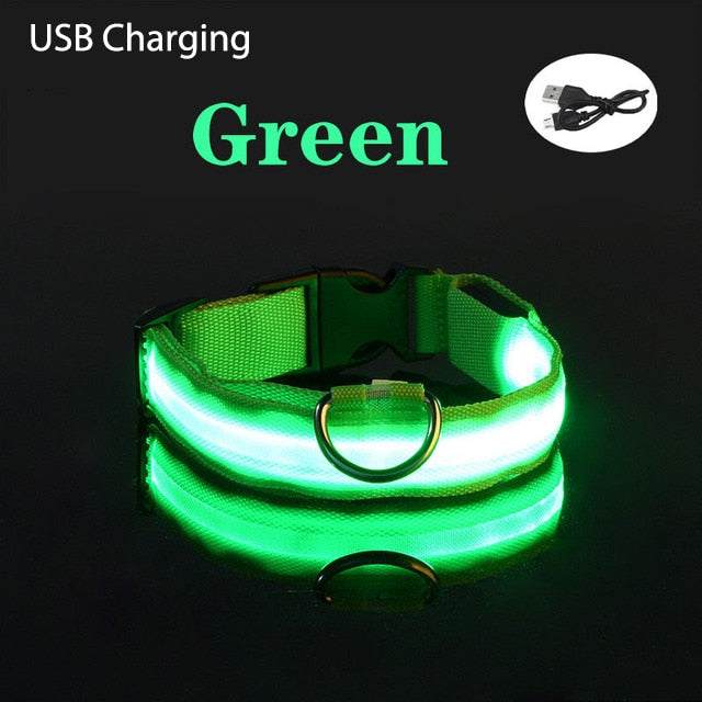 Green LED flashing dog collar with USB charging for nighttime safety