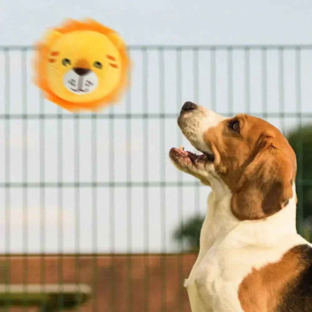 Beagle dog playing with Active Moving Pet Plush Toy lion face outdoors
