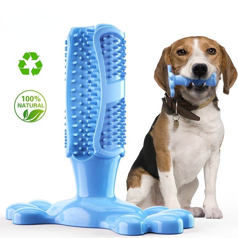 Blue dog toothbrush chew toy with bristles for dental care and a dog chewing it