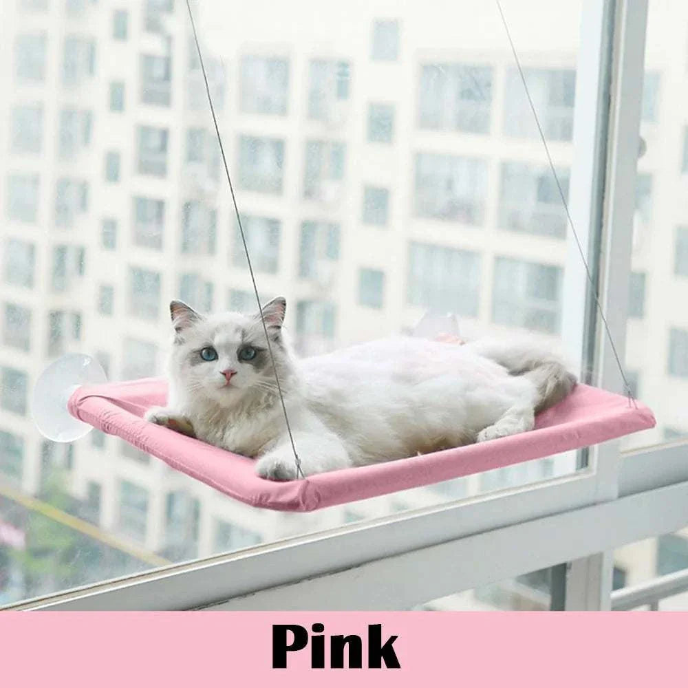 White cat resting on pink cat window mounted perch hammock attached to glass window with cityscape background