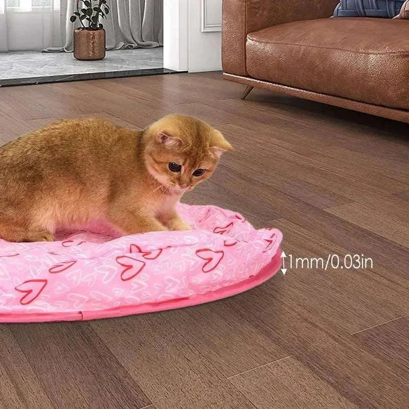Cat playing with 2 in 1 Simulated Interactive Hunting Cat Toy on wooden floor indoors