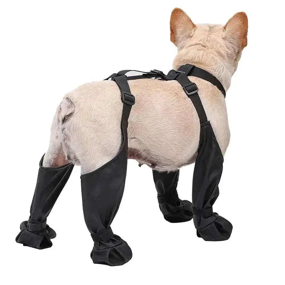 Dog wearing adjustable connected dog boots for paw protection against harsh terrain and weather conditions
