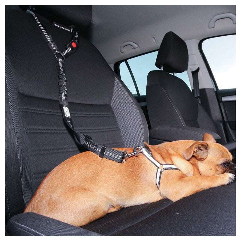 Car Dog Leash – Adjustable Seat Belt Harness for Pet Travel Safety