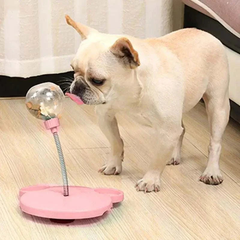 Small dog playing with Leaking Treats Ball pet feeder toy with pink base and clear treat ball