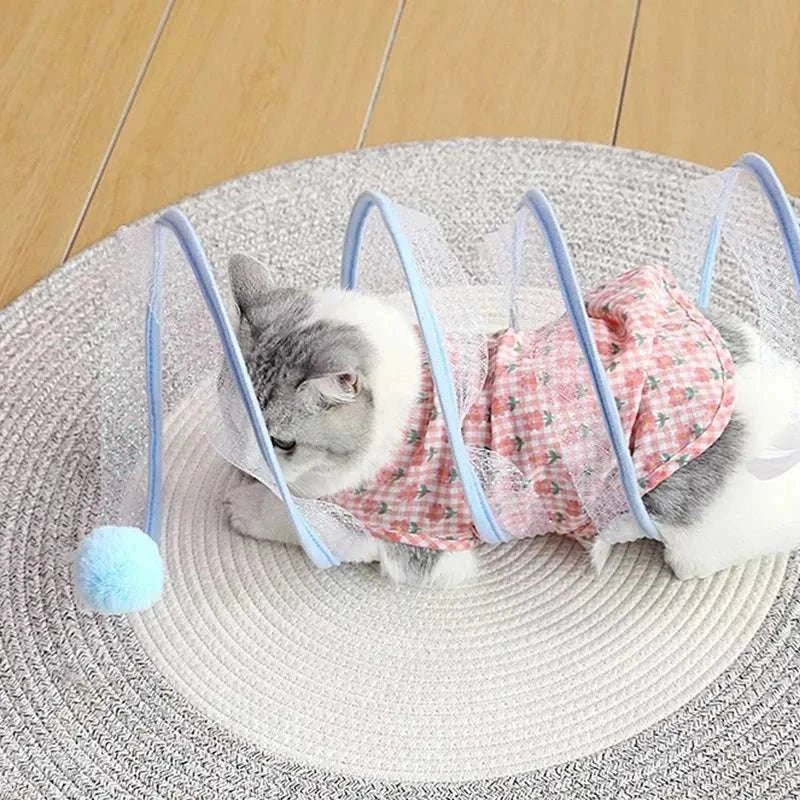 Cat playing inside self-play cat hunting spiral tunnel toy on round rug
