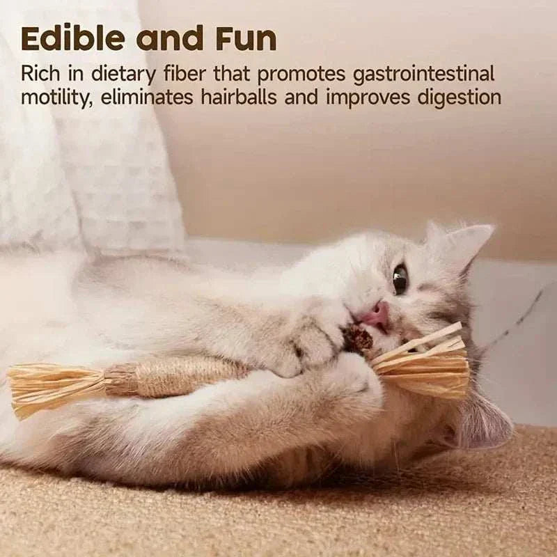 cat chewing on natural CAT SILVERVINE CHEWING STICK for dental health and stress relief