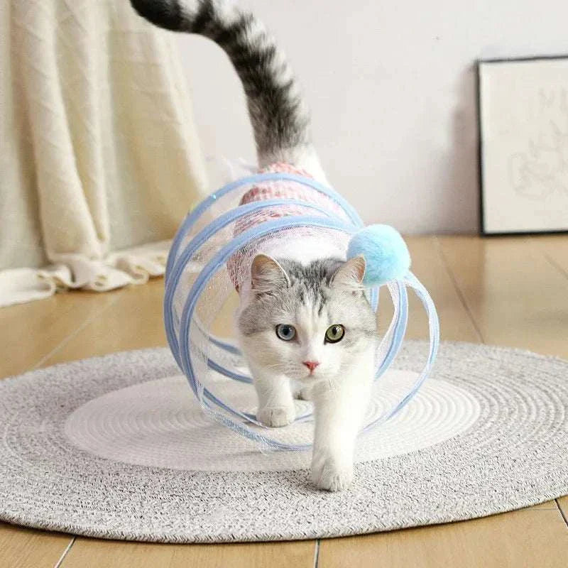 Cat playing with self-play cat hunting spiral tunnel toy on round rug indoors