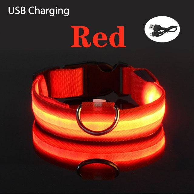 Red LED flashing dog collar with USB charging and adjustable strap for nighttime safety