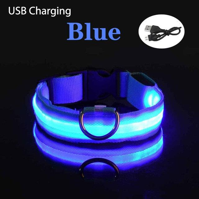 Blue LED flashing dog collar with USB charging and adjustable fit for nighttime safety