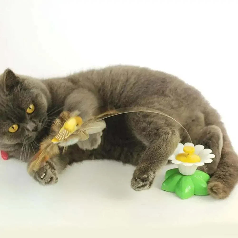 Gray cat playing with interactive cat toy automatic rotating flying butterfly on flower base