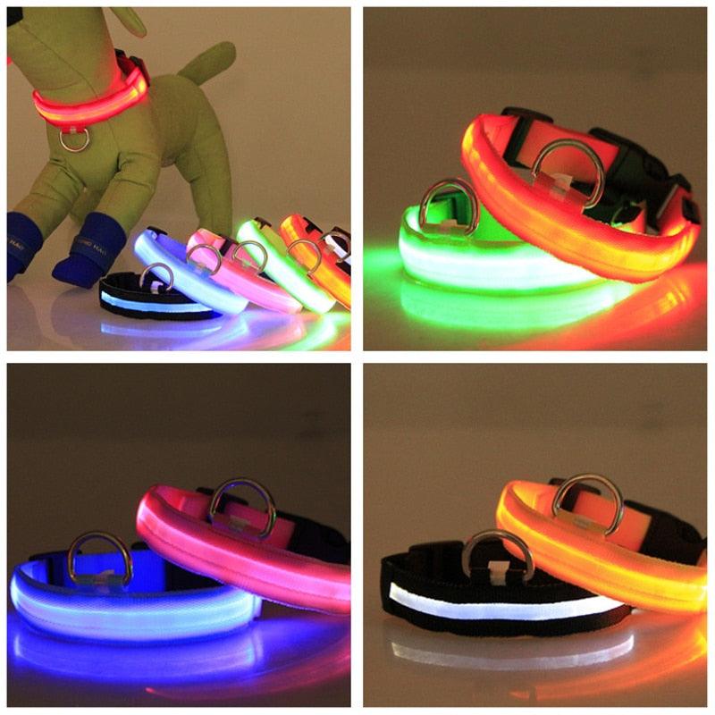 LED flashing dog collars in multiple colors for nighttime safety and high visibility