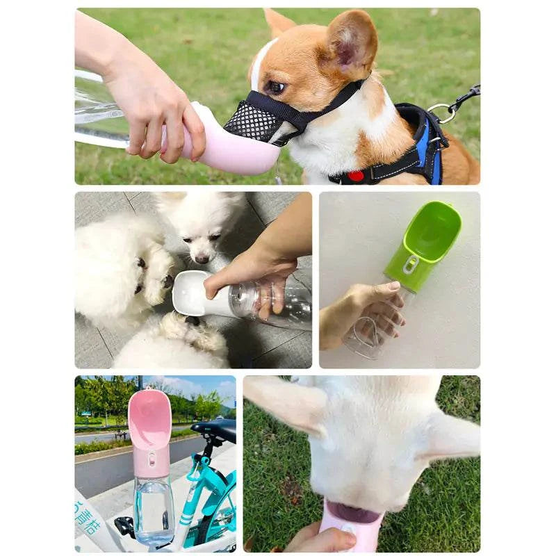 Pet dog water bottle feeder dispensing water and food for dogs on the go in pink, green, and white colors