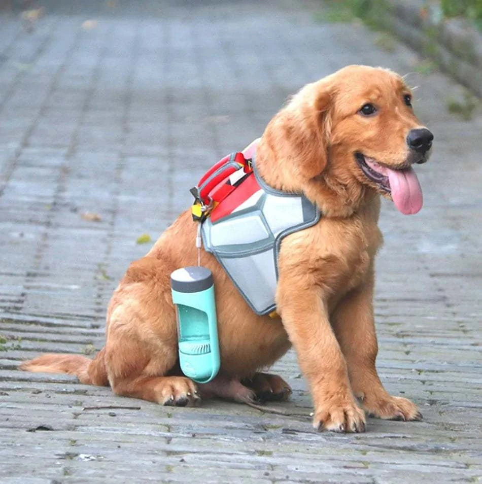 Golden retriever wearing a harness with a portable dog drinker bottle attached for outdoor hydration