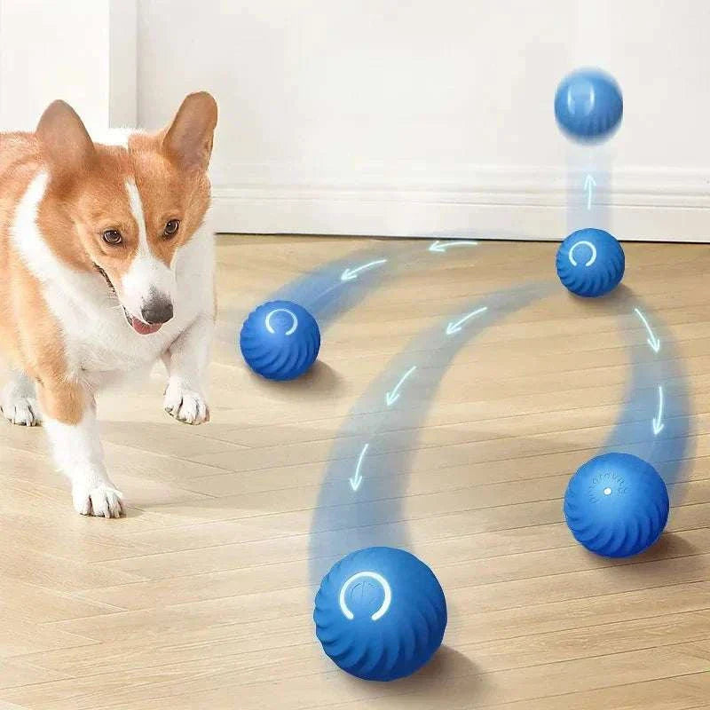 Dog playing with blue interactive motion activated rolling ball toy on wooden floor
