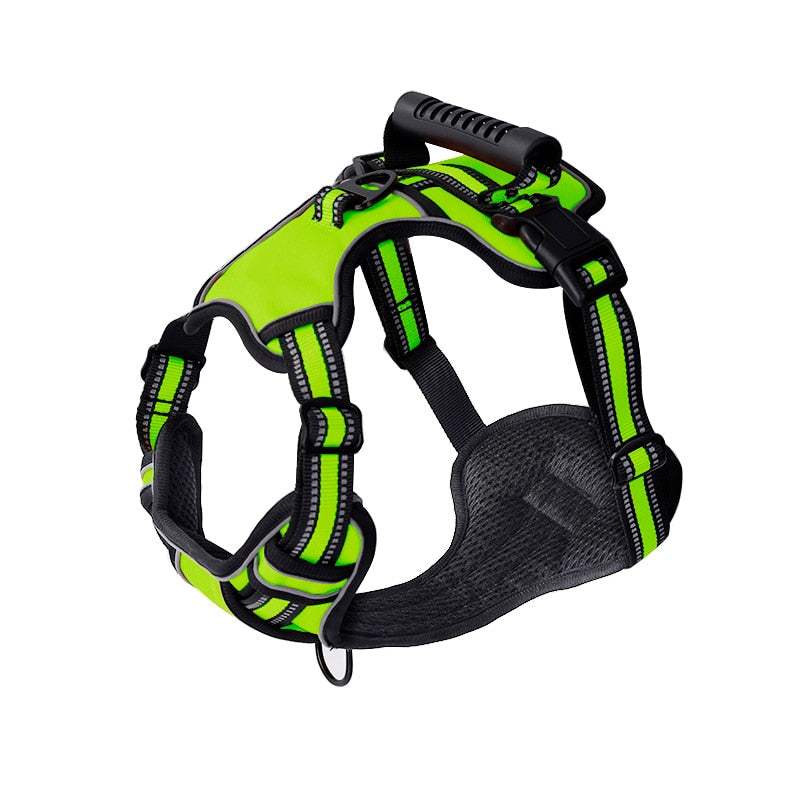 Bright green adjustable dog harness with padded straps and handle for secure, comfortable walks