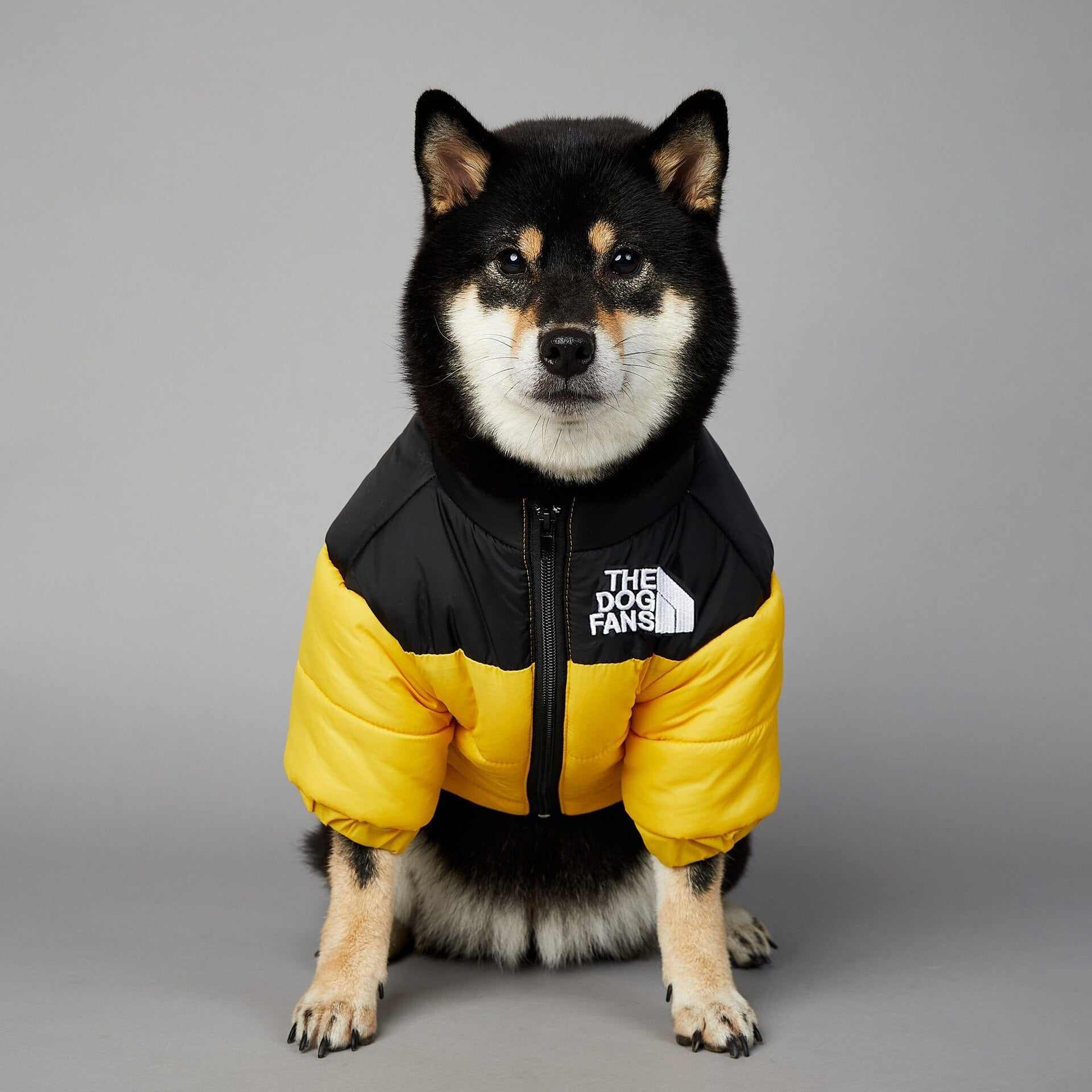 Dog Face Puffer Coat – Warm Waterproof Winter Jacket for Dogs
