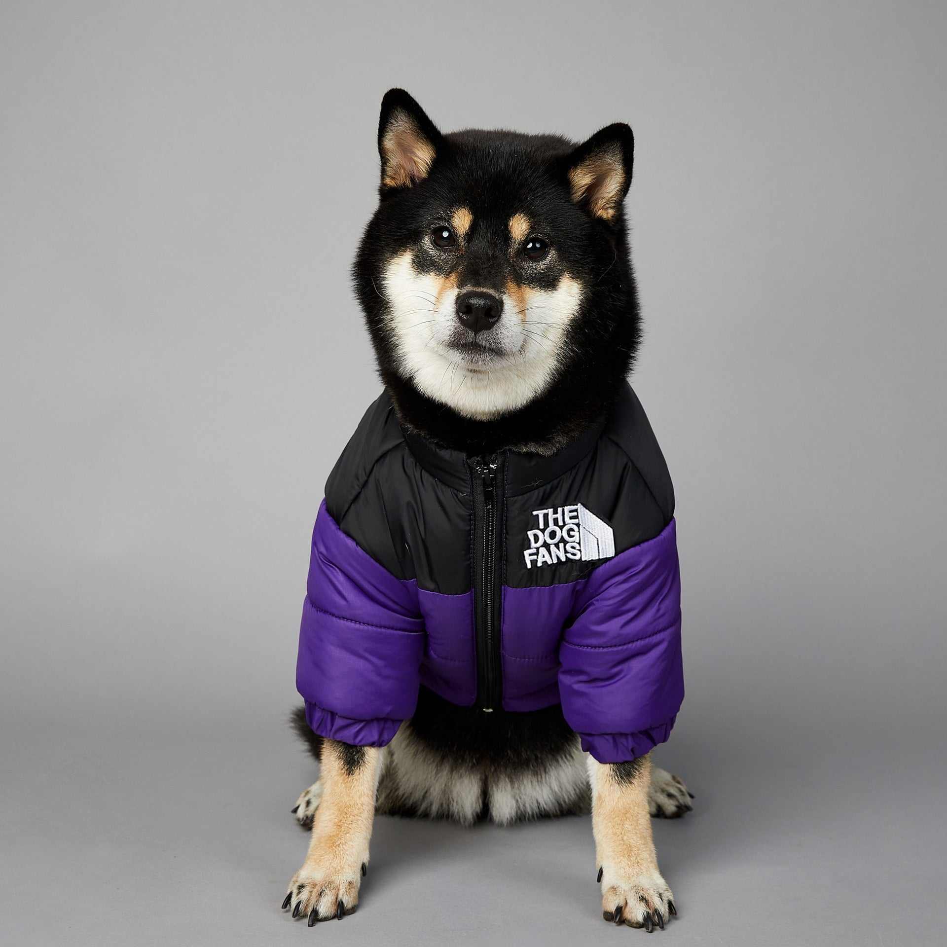 Dog Face Puffer Coat – Warm Waterproof Winter Jacket for Dogs