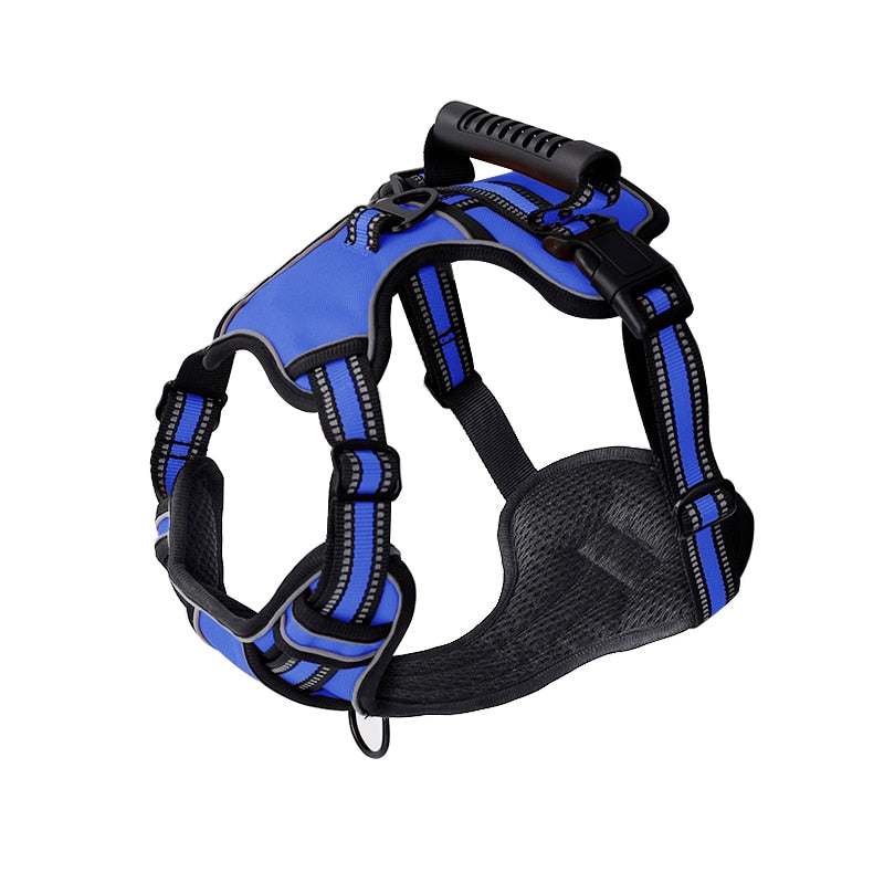 Blue adjustable dog harness with padded interior and black nylon straps designed for comfort and security.