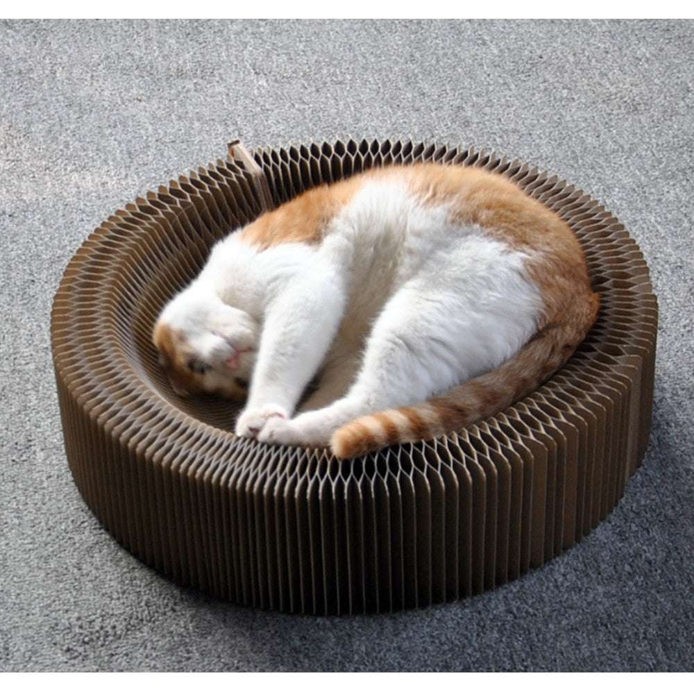 Cat sleeping on a round Magic Organ Cat Scratching Board made of eco-friendly corrugated cardboard