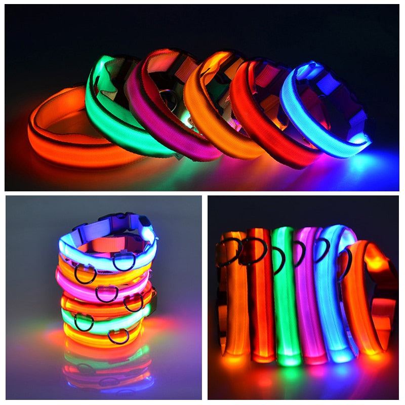 Colorful LED flashing dog collars in various bright colors for nighttime visibility and safety