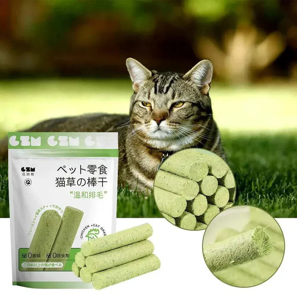 Cat Grass Teething Sticks natural dental chews for cats with organic ingredients and healthy teeth benefits