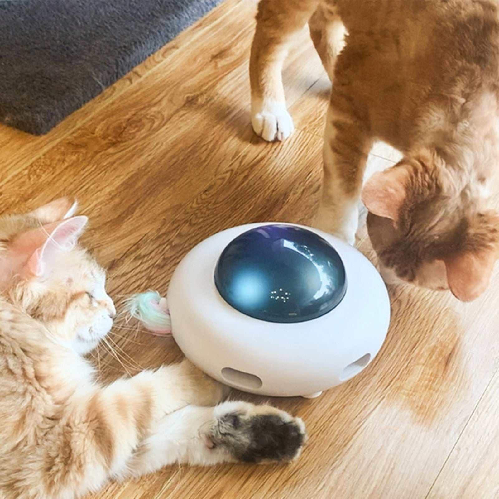 Interactive cat food toy with rolling ball for kitten exercise and play, USB rechargeable and automatic standby feature.