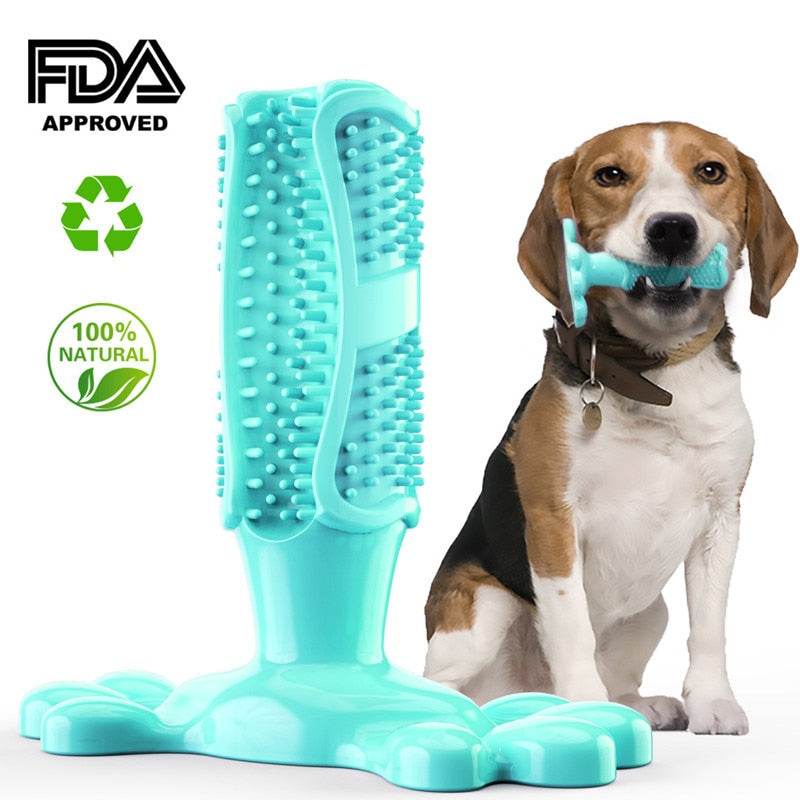 Blue EZ Care dog toothbrush chew toy for oral health with bristles and toothpaste reservoir, safe natural rubber, held by a dog