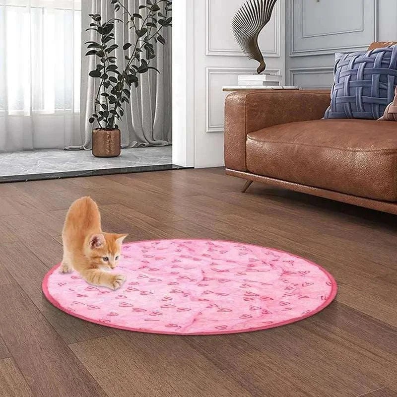 2 in 1 simulated interactive hunting cat toy with kitten playing on pink mat in living room