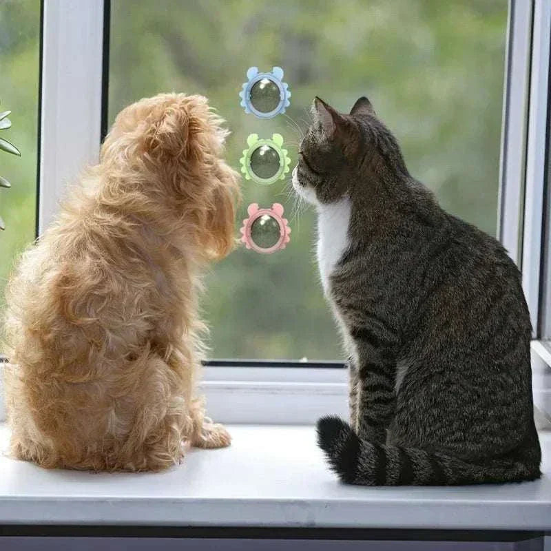 Natural Catnip Rotating interactive cat toy on window with cat and dog observing