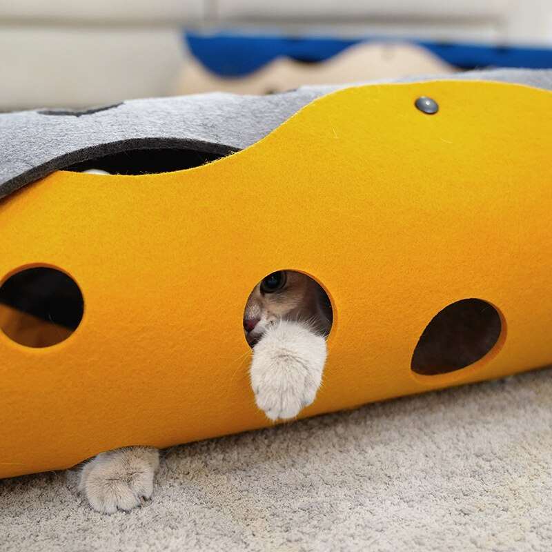 Cat playing inside yellow and gray cat tunnel toy with multiple circular openings on carpeted floor