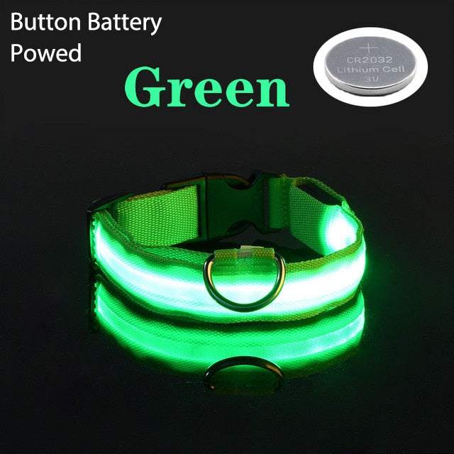 Green LED flashing dog collar with adjustable strap and button battery for nighttime safety