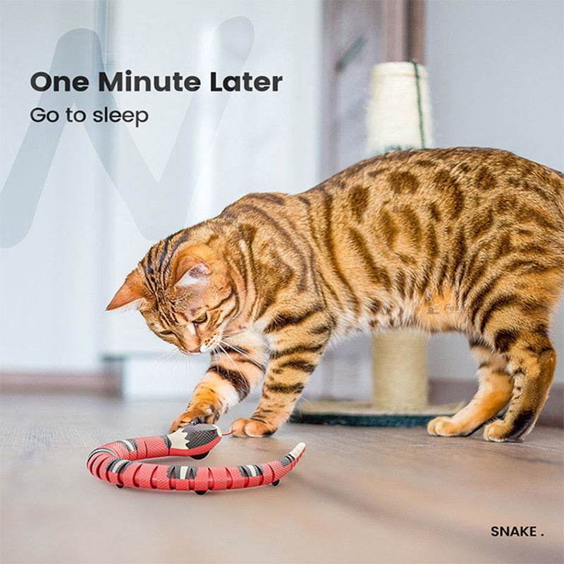 Cat playing with Smart Sensing Snake interactive rechargeable toy stimulating natural hunting instincts indoors